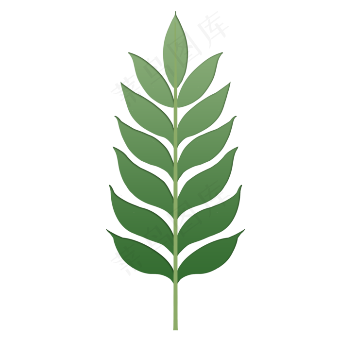 单片热带植物绿色叶子