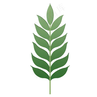 单片热带植物绿色叶子