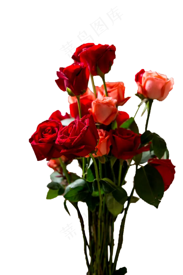 漂亮的玫瑰花(1333X2000(DPI:300))psd模版下载