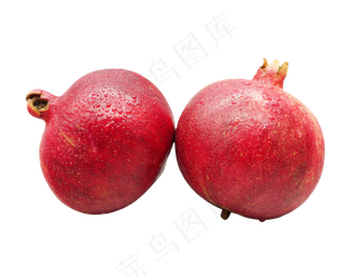 红石榴水果果实