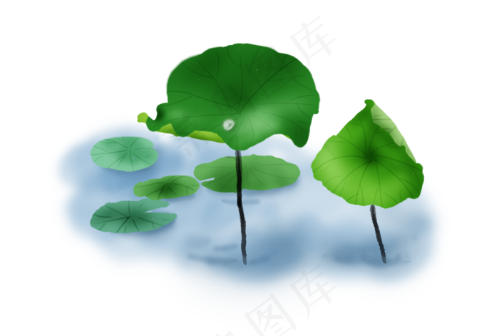 暑假夏至手绘荷叶