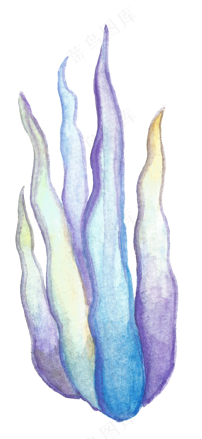 卡通水彩水草海藻