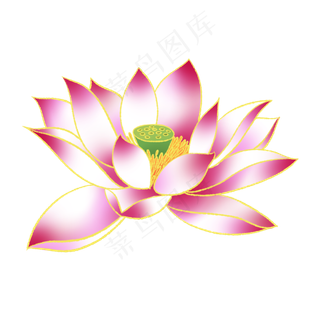 新中式国潮风荷花