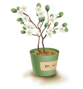 苹果树种植盆栽,免抠元素