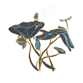 二十四节气荷花荷叶莲花