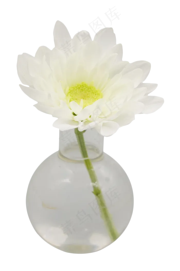 白色花束鲜花(2000*3000px 300 dpi )