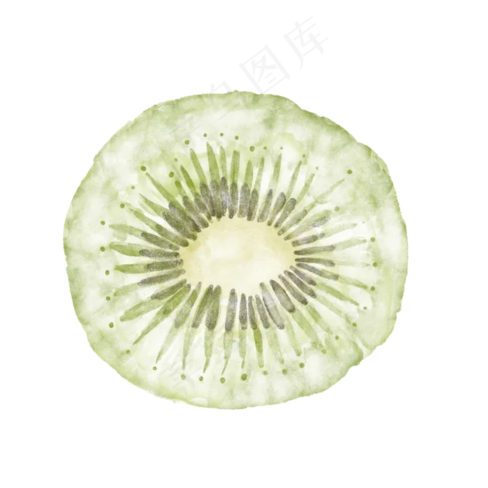手绘水彩半个猕猴桃(2000X2000(DPI:300))psd模版下载