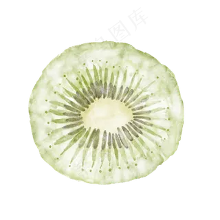 手绘水彩半个猕猴桃