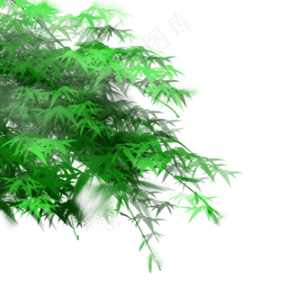 中国风写意夏季立夏竹叶竹林