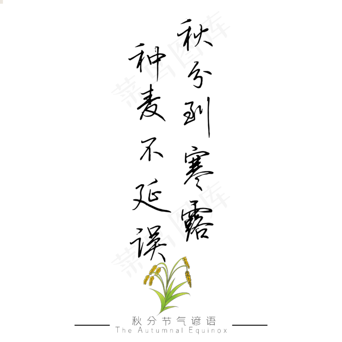 秋分谚语秋分到寒露种麦不延误黑色艺术字ai矢量模版下载