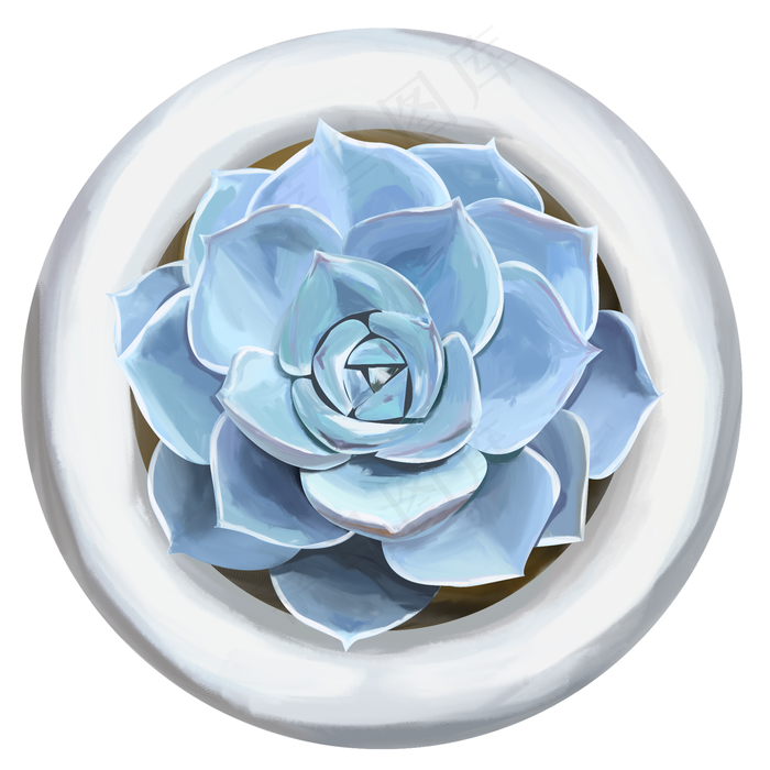 手绘清新多肉植物插画设计商用元,免抠元素