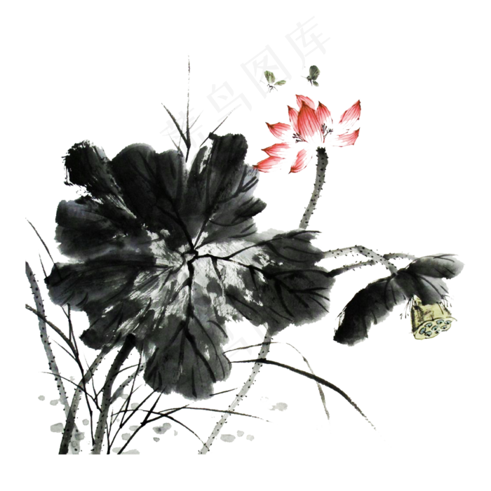 荷花水墨莲花莲蓬PNG工笔写意,免抠元素