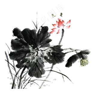 荷花水墨莲花莲蓬PNG工笔写意,免抠元素