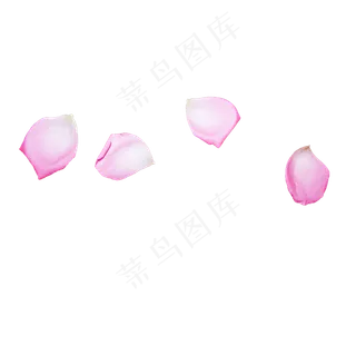几片粉红色玫瑰花瓣
