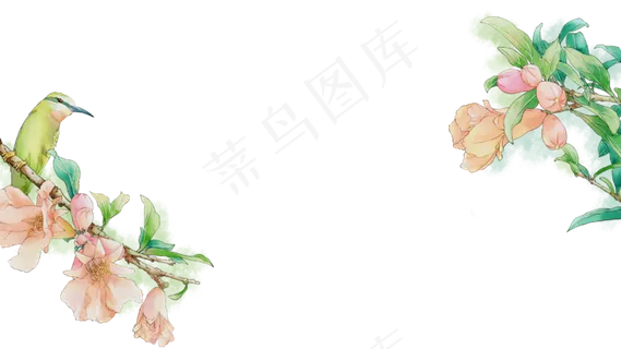 石榴鹦鹉工笔花鸟边框复古国风装,免抠元素