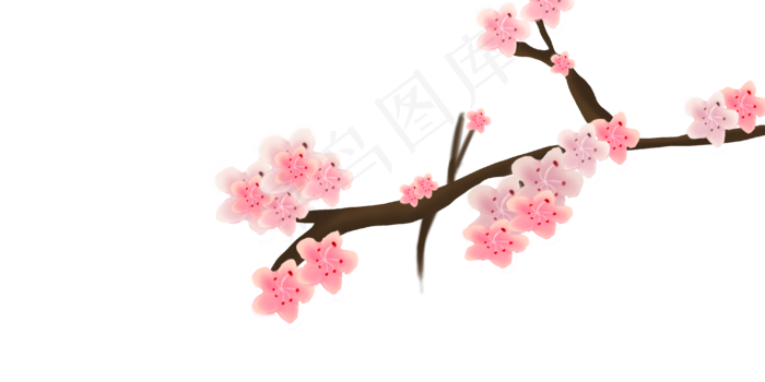 立体樱花手绘插画