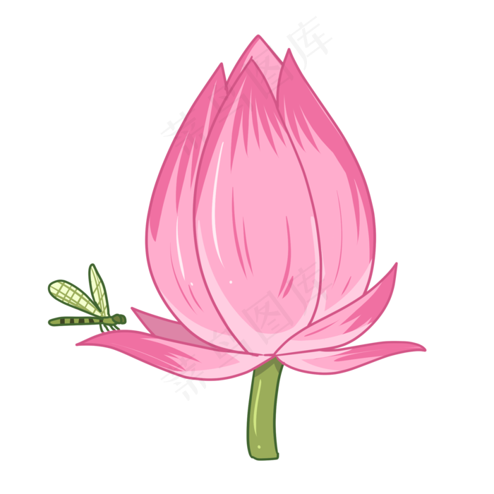漂亮荷花卡通插画