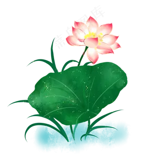 夏季小清新荷花荷叶png免抠图