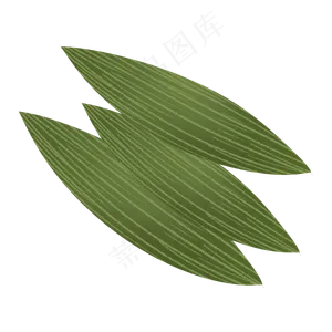 深绿色端午节手绘粽叶