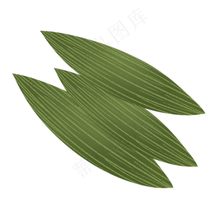 深绿色端午节手绘粽叶