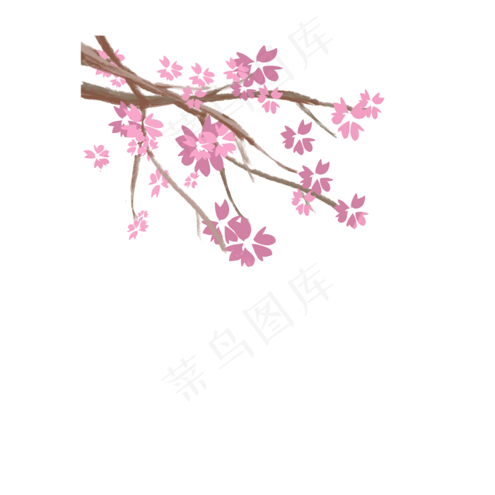樱花+粉色+装饰+png+免扣