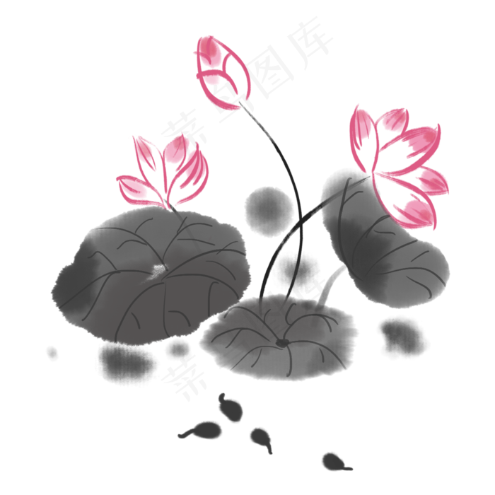 中国风水墨荷花蝌蚪