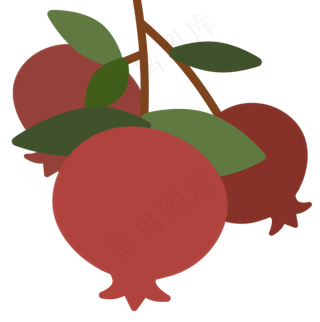 红色新鲜石榴水果植物