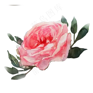 卡通水彩小清新花草 卡通水彩小清新花草