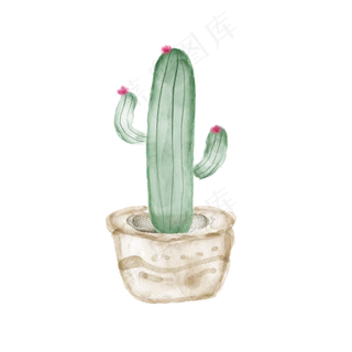 手绘水彩仙人掌盆栽