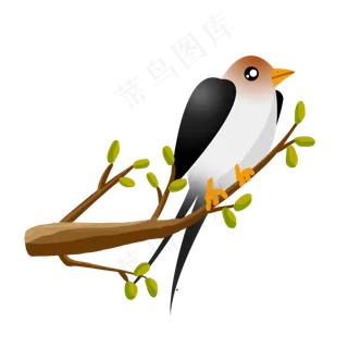 树枝花枝上的燕子 树枝花枝上的燕子