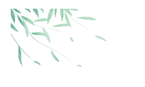 清明节绿色漂浮柳叶,免抠元素