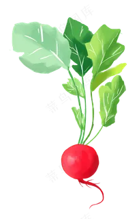 手绘蔬菜装饰元素,免抠元素