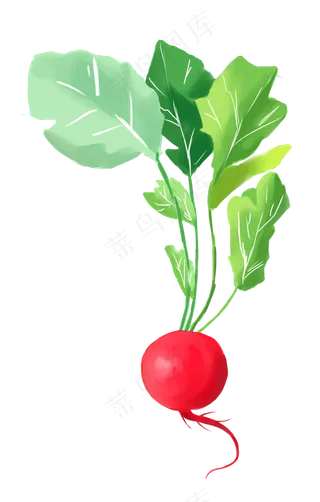 手绘蔬菜装饰元素,免抠元素