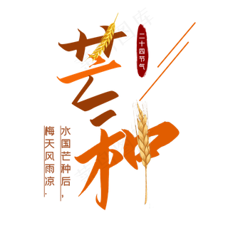 芒种二十四节气