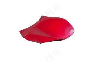 情人节红色玫瑰花瓣