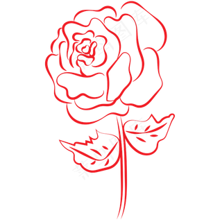 手绘玫瑰
