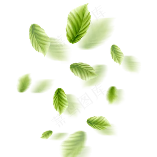 小清新漂浮树叶免抠图案