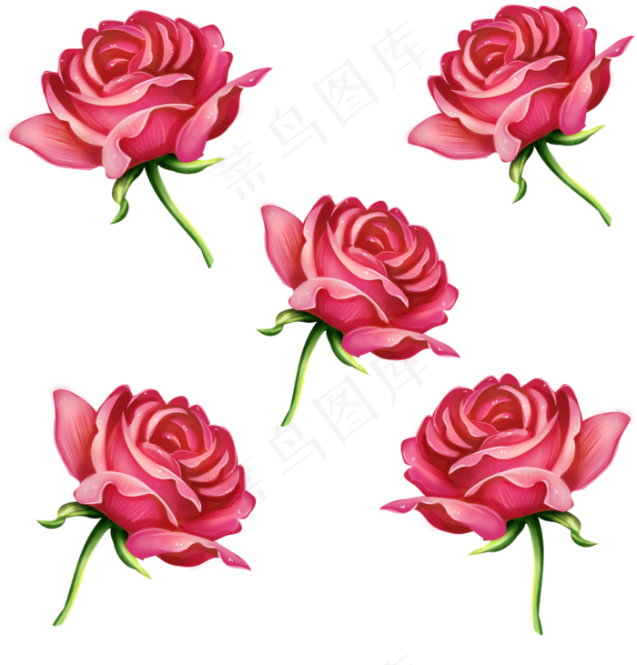 手绘仿真写实花朵玫瑰(2000X2000(DPI:300))psd模版下载