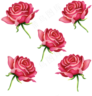 手绘仿真写实花朵玫瑰