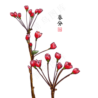 二十四节气之春分,免抠元素