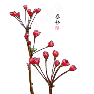 二十四节气之春分,免抠元素