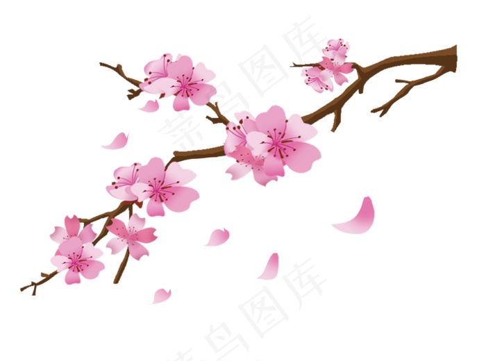 春季日本的樱花插画,免抠元素