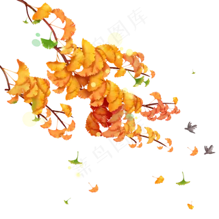 秋季金黄银杏树枝,免抠元素
