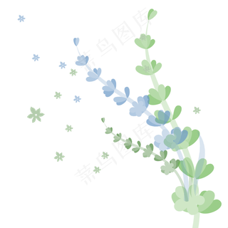 紫绿矢量通用薰衣草枝条