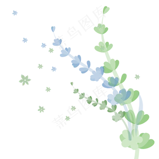 紫绿矢量通用薰衣草枝条