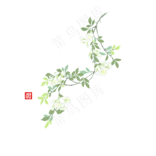 中国风小清新仿国画手法写实茉莉