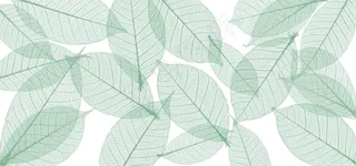小清新绿色树叶纹理banner