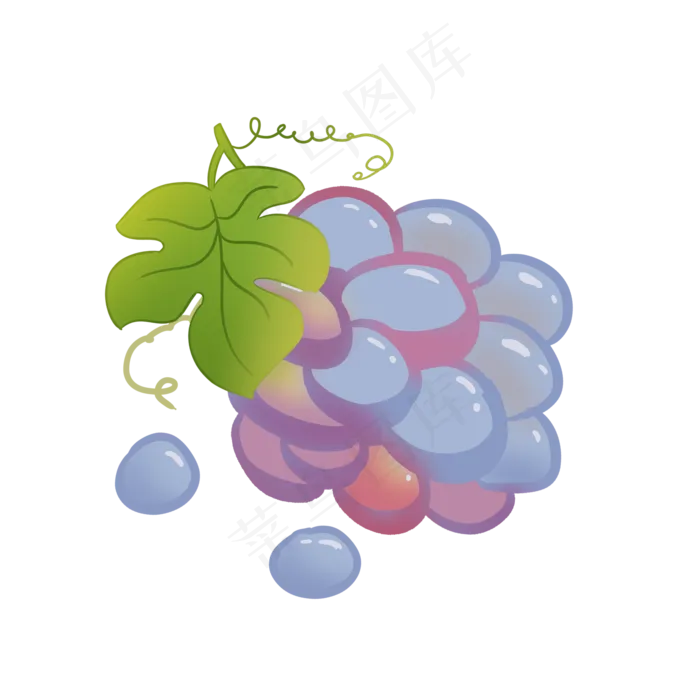 待成熟圆粒蜜汁葡萄(2000X2000(DPI:300))psd模版下载