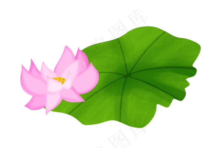 中国风粉色荷花插图(2325X2052(DPI:300))psd模版下载