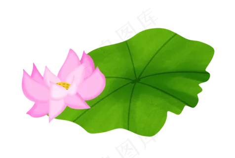 中国风粉色荷花插图